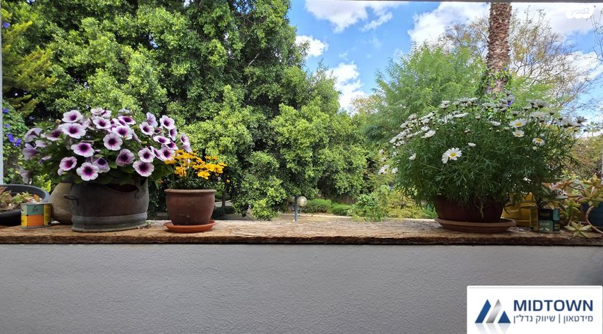 דירה, חטיבת אלכסנדרוני 15, הדרים, הדרים החדשה, כפר סבא