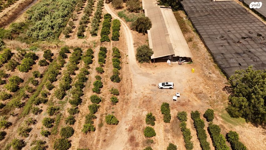 משק חקלאי/ נחלה