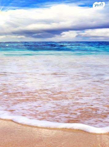 דירה, הירקון, לב תל אביב, לב העיר צפון, תל אביב יפו