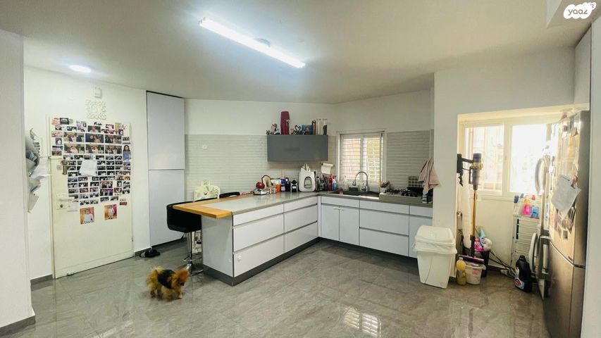 דירה, אבא אחימאיר, קרית מנחם בגין, רמלה