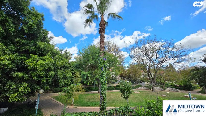 דירה, חטיבת אלכסנדרוני 15, הדרים, הדרים החדשה, כפר סבא