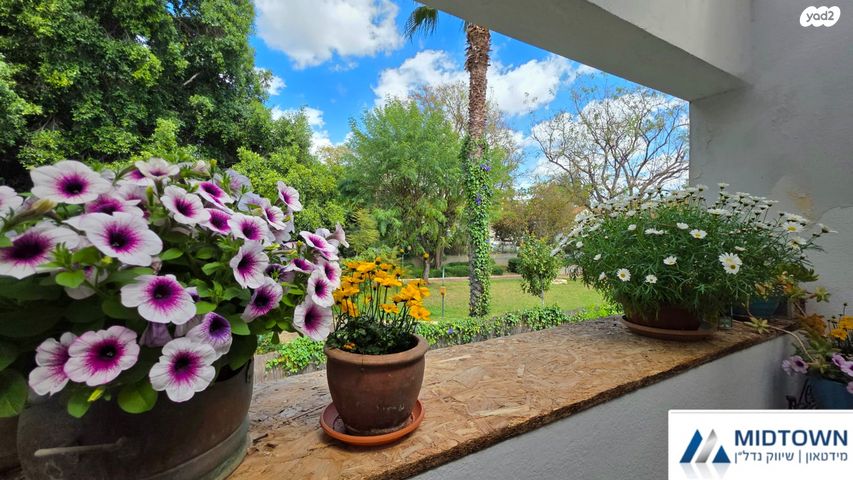 דירה, חטיבת אלכסנדרוני 15, הדרים, הדרים החדשה, כפר סבא