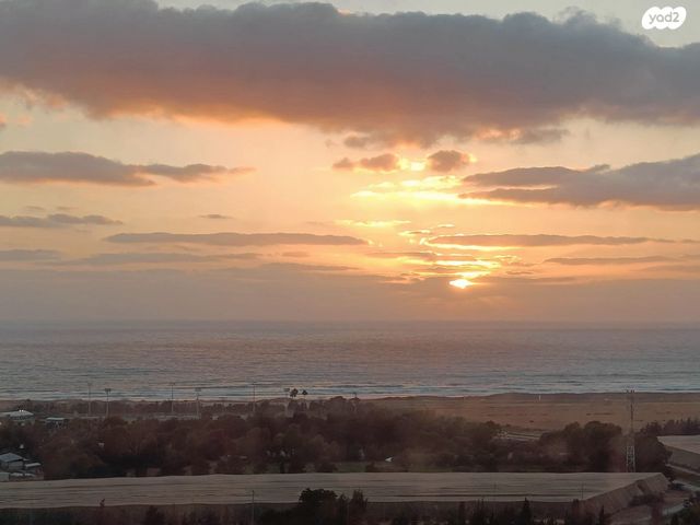 דירה, לח"י, שז"ר / דקר, טירת כרמל