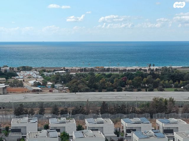 דירה, לח"י, שז"ר / דקר, טירת כרמל