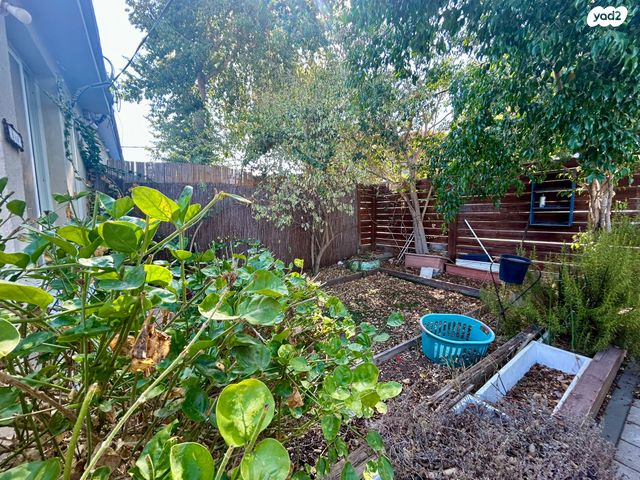 בית פרטי/ קוטג', גני צבי, הוד השרון