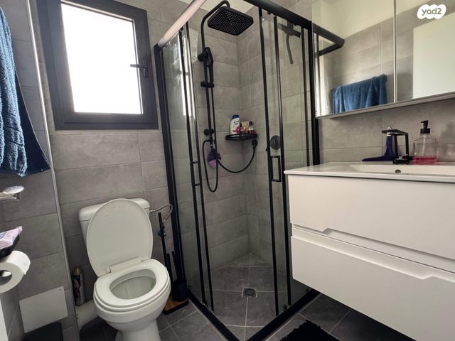 דירה, עץ המשאלות, אדמית / יערית, שלומי