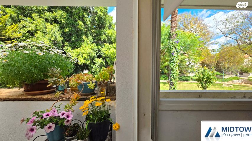 דירה, חטיבת אלכסנדרוני 15, הדרים, הדרים החדשה, כפר סבא