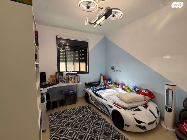 דירה, עץ המשאלות, אדמית / יערית, שלומי