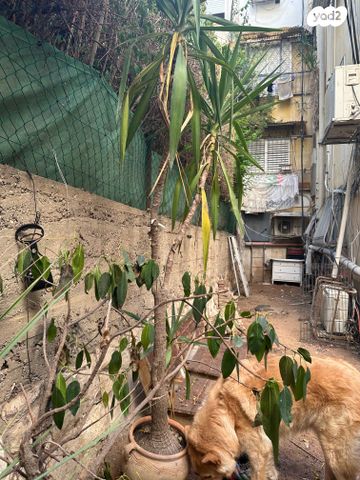 דירה, זכריה, תל אביב יפו