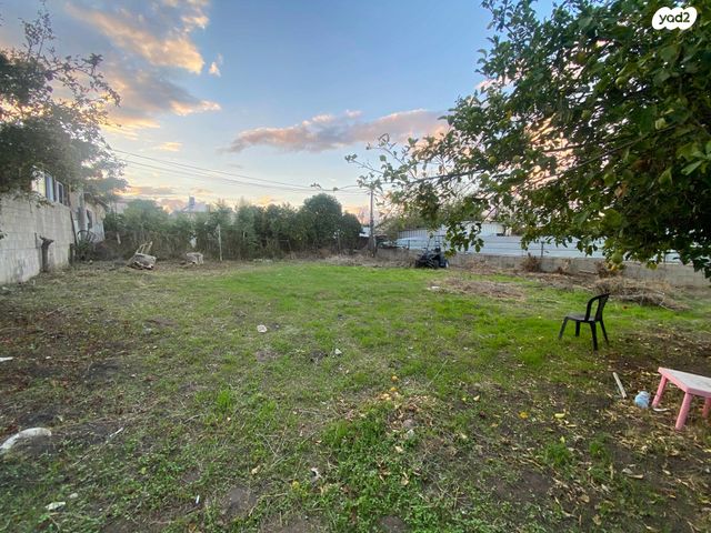 מגרשים, שעריה, פתח תקווה