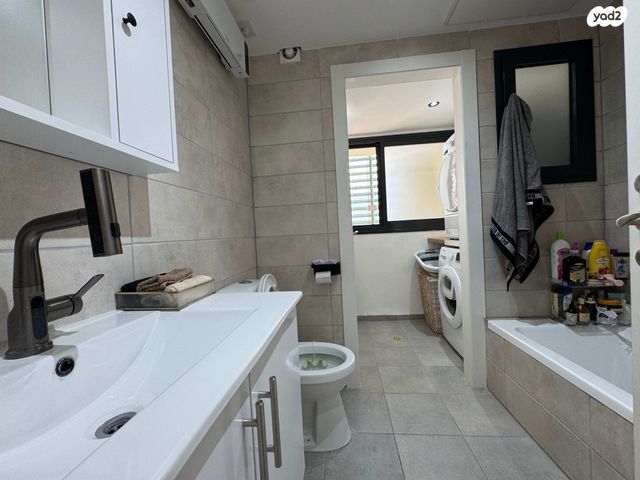 דירה, עץ המשאלות, אדמית / יערית, שלומי