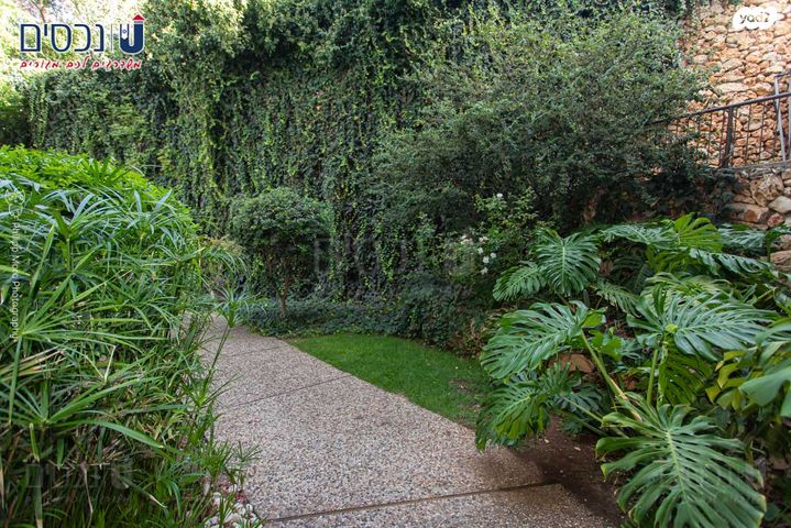 דירה, ארתור הנטקה, אחוזה, חיפה