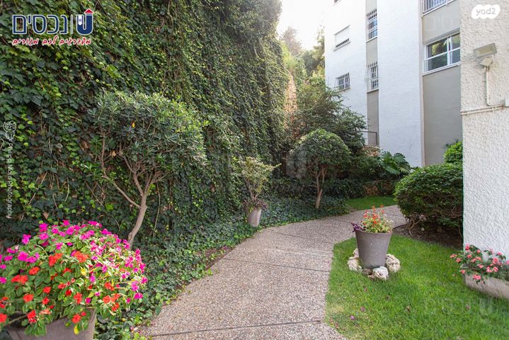 דירה, ארתור הנטקה, אחוזה, חיפה