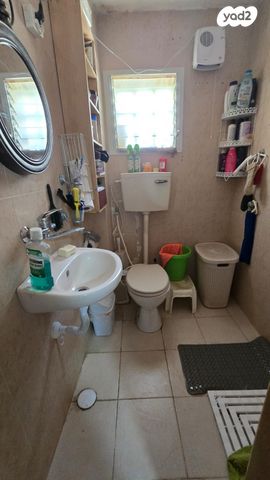 דירה, לוחמי הגטאות, דרום, צפת