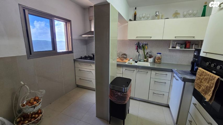 דירה, לוחמי הגטאות, דרום, צפת