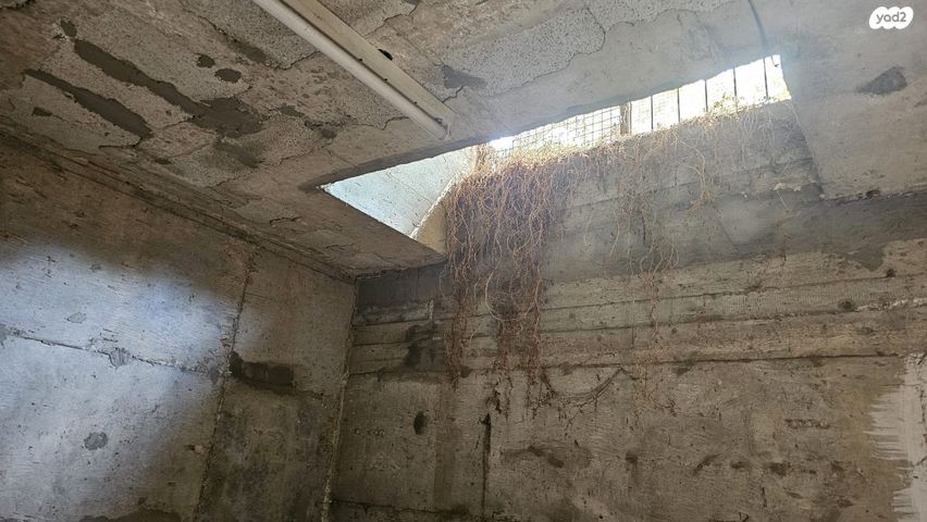 מחסן, ההגנה 10, השופטים צפון, רמלה