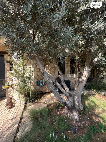 בית פרטי/ קוטג', בצרה