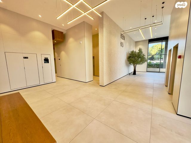 גג/ פנטהאוז, מאה ושישים 11, מרכז דרום, רעננה