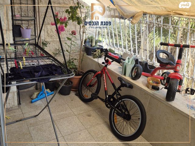 דירה, שלמה, פסגת זאב, ירושלים