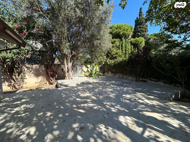 הנשיא יצחק בן צבי 