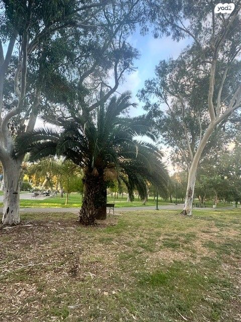 הרב קוסובסקי 