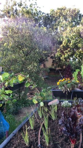 בית פרטי/ קוטג', גני הדר, גני הדר