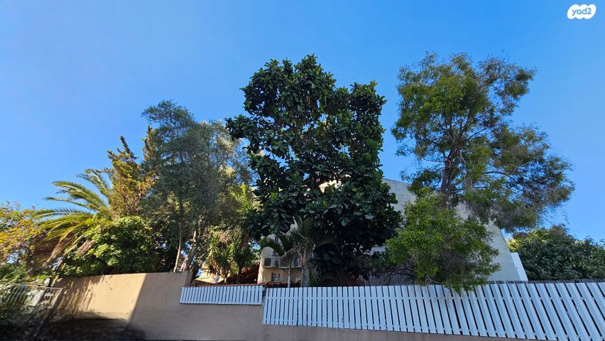 בית פרטי/ קוטג', הרצליה