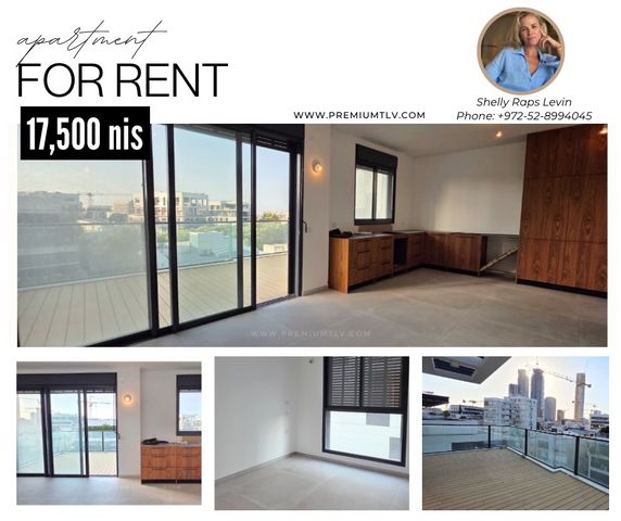 הצפון החדש - כיכר המדינה