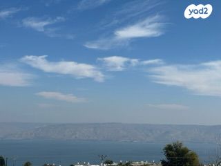 דירה, אורנים, בן גוריון, טבריה