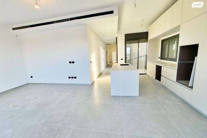 גג/ פנטהאוז, מאה ושישים 11, מרכז דרום, רעננה