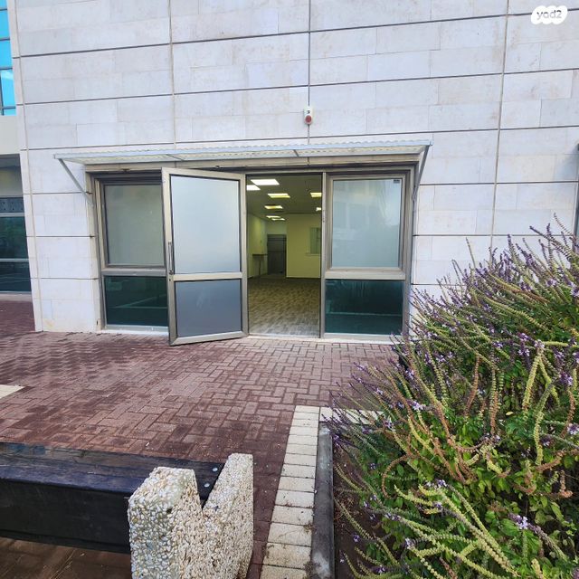 סטודיו, פארק תמר, רחובות