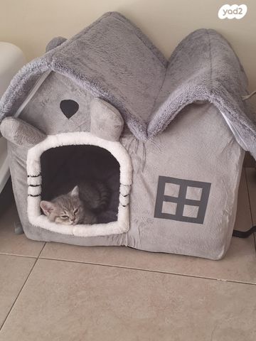 אביזרים | מיטה