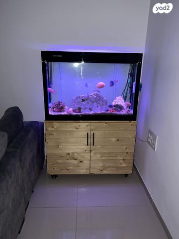 תמונת מודעה - חיות מחמד