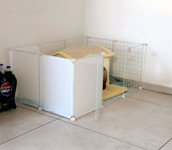 אביזרים | ציוד לאילוף