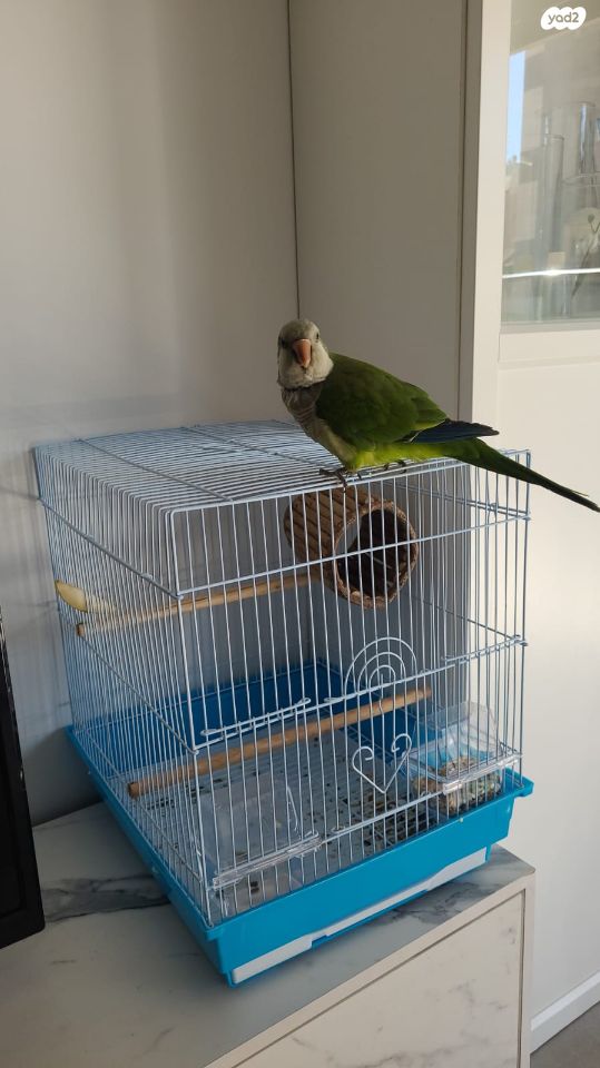 אביזרים | כלוב האכלת יד