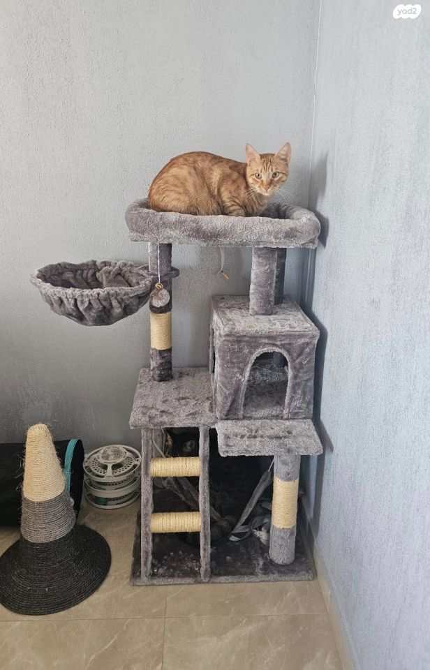 אביזרים | משחקים וצעצועים