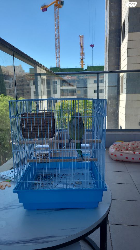 אביזרים | כלוב האכלת יד