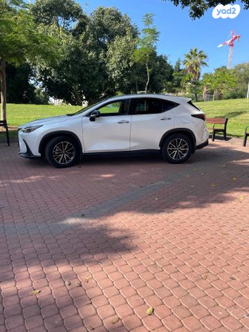 מודעת רכב לקסוס NX