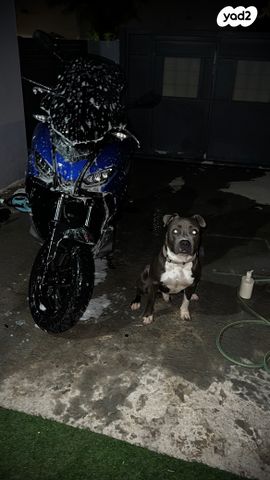 מודעת רכב אפריליה SR GT 125