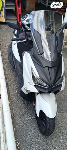 סאן יאנג ג'וי-מקס Z-250