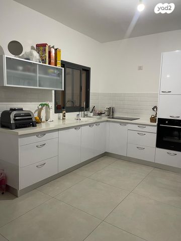 אריאל שרון 4