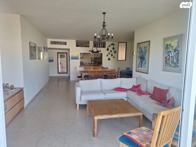 משה ברזאני 9