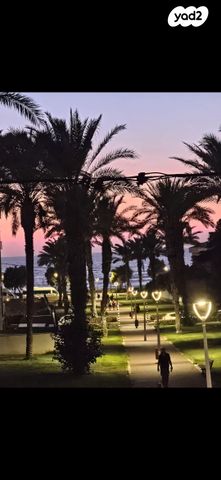 ז'בוטינסקי 52