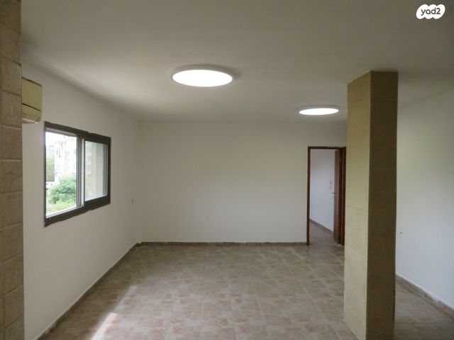 זלמן שז"ר 229