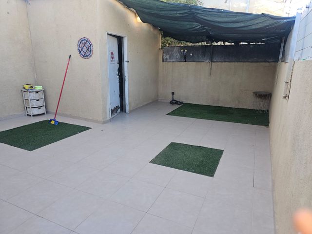 אביה השופט 14