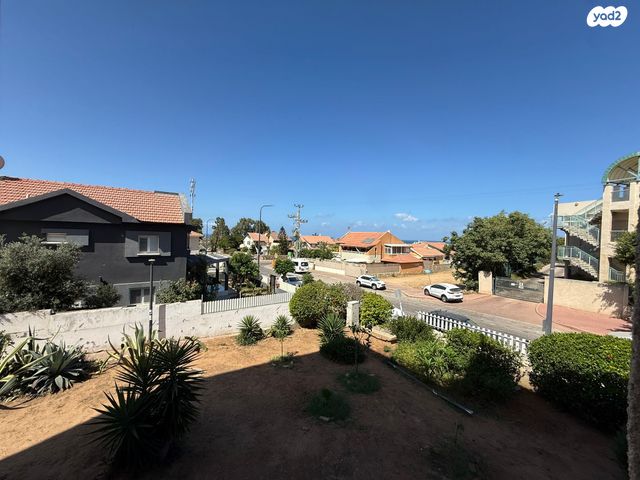 אבשלום חביב 7