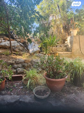 יחידת דיור, האורן 20, אורנית, אורנית