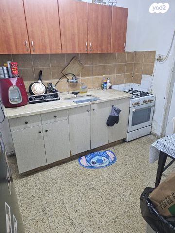 דוד פרישמן 6