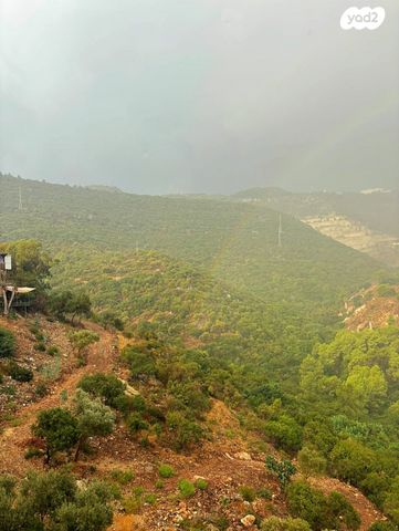 דירה, יפה נוף, גבעת נשר, נשר