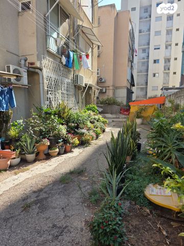 דירה, תרנ"א 61, מרכז העיר, חדרה